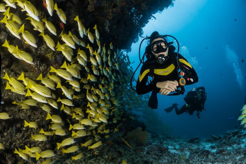 Value Pack | Nitrox Fun Dives in Fujairah with tanks and weights (75 mins drive from Dubai)